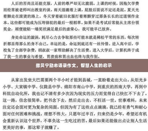撒贝宁励志语录作文，智慧人生的启示
