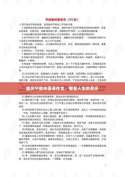 撒贝宁励志语录作文,智慧人生的启示