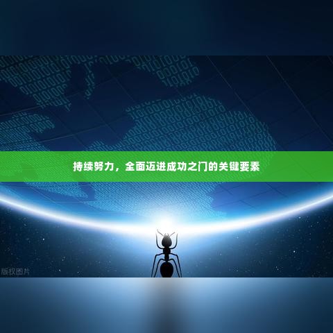持续努力,全面迈进成功之门的关键要素