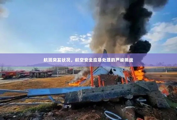 航班突发状况,航空安全应急处理的严峻挑战