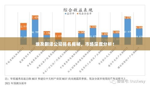 埃及翻译公司排名揭秘,市场深度分析!