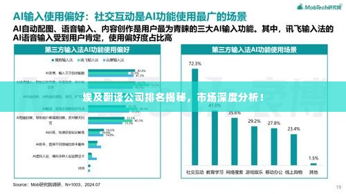 埃及翻译公司排名揭秘,市场深度分析!