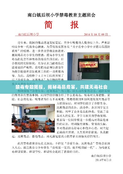 禁毒专题简报,揭秘毒品危害,共建无毒社会