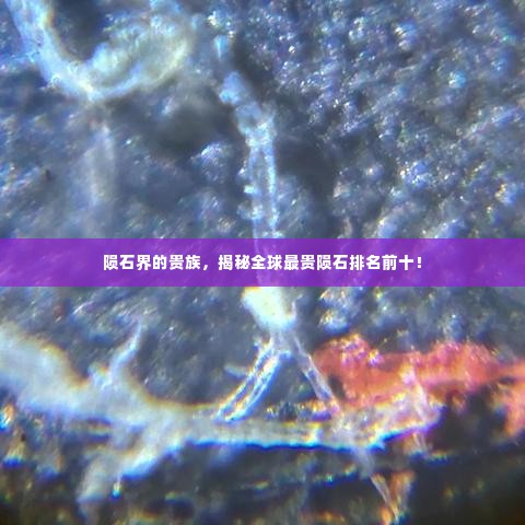 陨石界的贵族，揭秘全球最贵陨石排名前十！