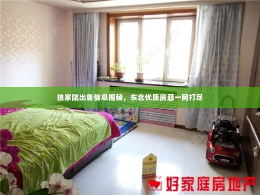 独家院出售信息揭秘,东北优质房源一网打尽