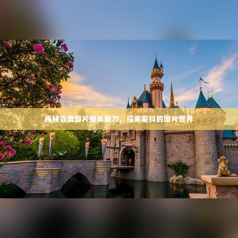 揭秘百度图片搜索魅力,探索发抖的图片世界