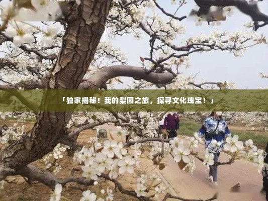 「独家揭秘!我的梨园之旅,探寻文化瑰宝!」