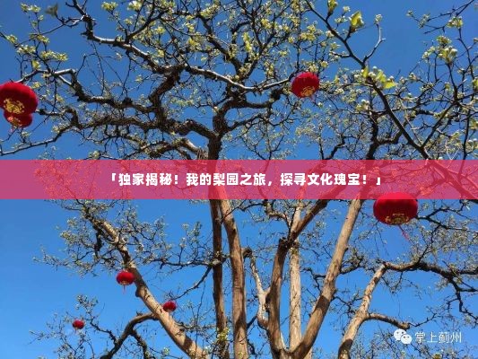 「独家揭秘!我的梨园之旅,探寻文化瑰宝!」