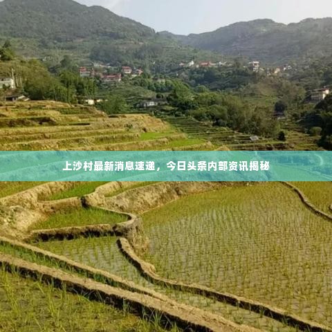 夫贵妻荣 第2页