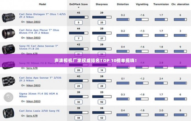 声波相机厂家权威排名TOP 10榜单揭晓!