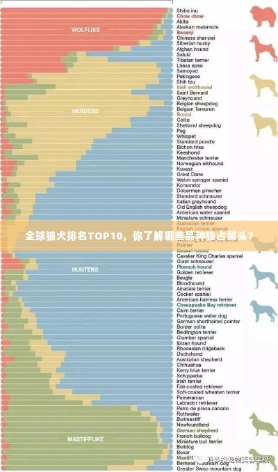 全球狼犬排名TOP10,你了解哪些品种独占鳌头?