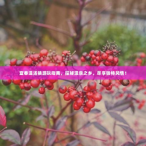 宜春温汤镇游玩指南，探秘温泉之乡，尽享独特风情！