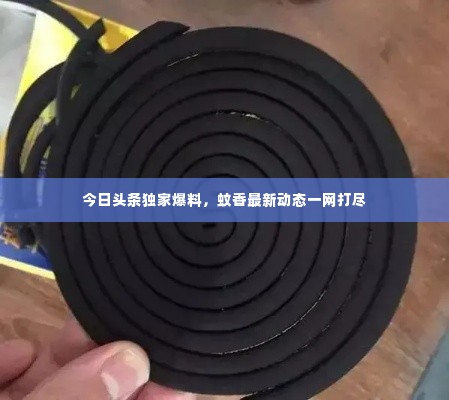 今日头条独家爆料,蚊香最新动态一网打尽
