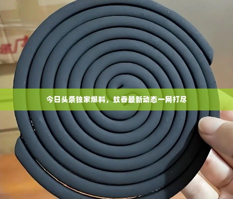 今日头条独家爆料，蚊香最新动态一网打尽