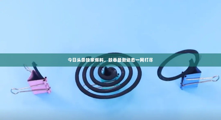 今日头条独家爆料,蚊香最新动态一网打尽