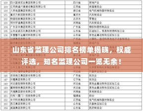 山东省监理公司排名榜单揭晓，权威评选，知名监理公司一览无余！