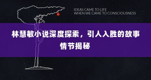 林慧敏小说深度探索,引人入胜的故事情节揭秘
