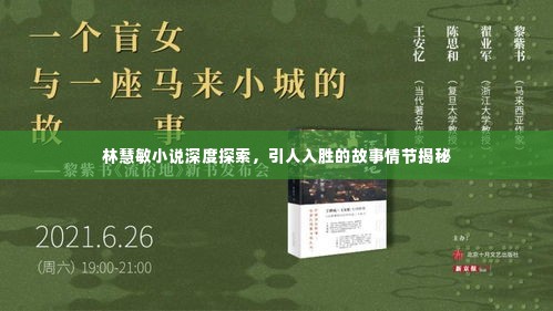 林慧敏小说深度探索,引人入胜的故事情节揭秘
