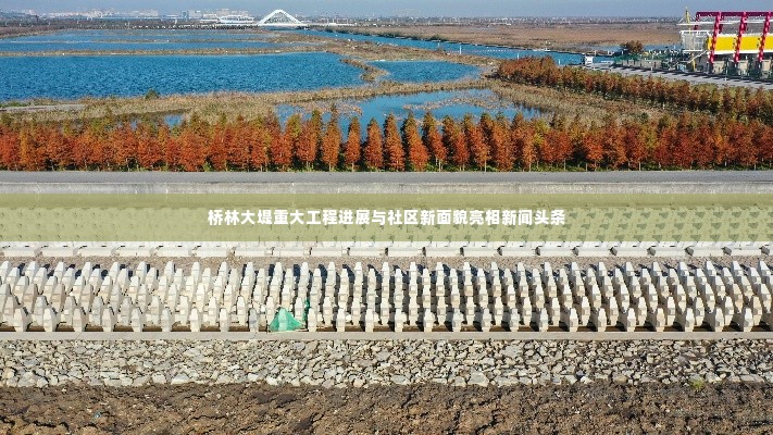 桥林大堤重大工程进展与社区新面貌亮相新闻头条