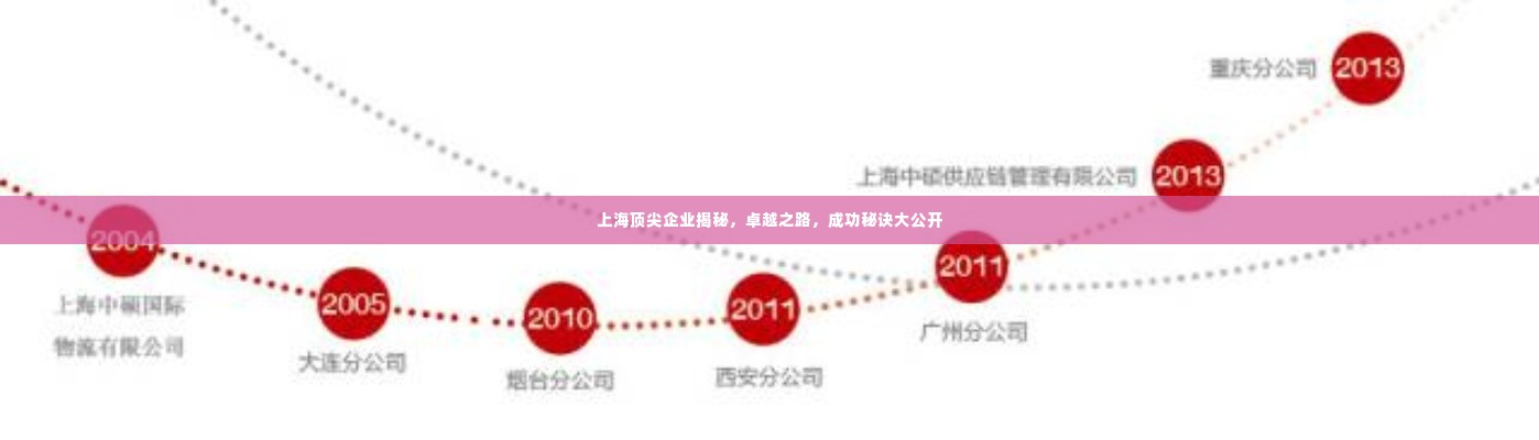 上海顶尖企业揭秘,卓越之路,成功秘诀大公开