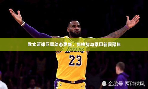 欧文篮球巨星动态更新,新挑战与瞩目新闻聚焦
