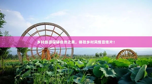 乡村旅游探秘自然之美,体验乡村风情宣传片!