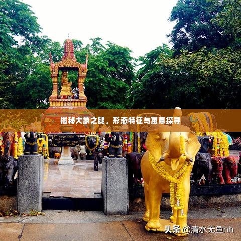 揭秘大象之腿,形态特征与寓意探寻