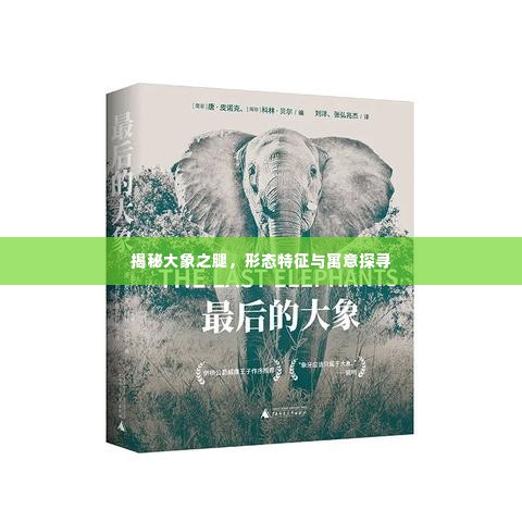 揭秘大象之腿,形态特征与寓意探寻