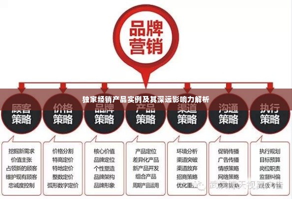 独家经销产品实例及其深远影响力解析