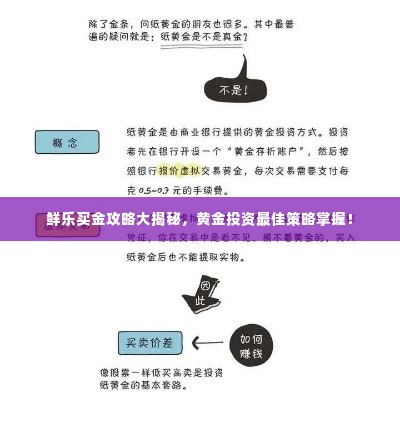 鲜乐买金攻略大揭秘,黄金投资最佳策略掌握!
