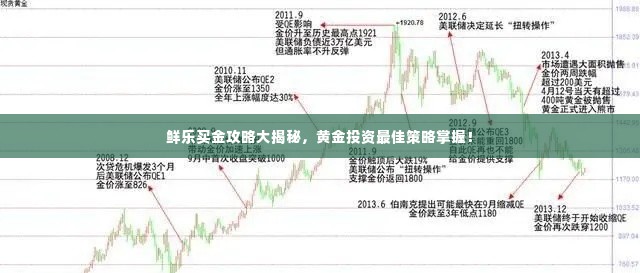 鲜乐买金攻略大揭秘,黄金投资最佳策略掌握!