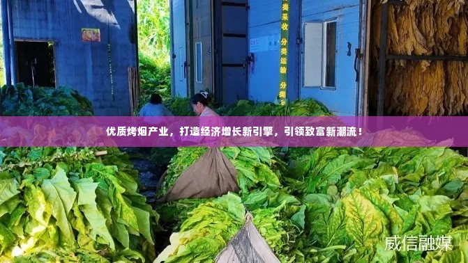优质烤烟产业,打造经济增长新引擎,引领致富新潮流!