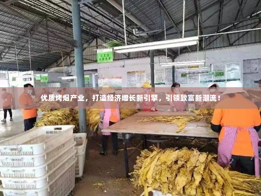 优质烤烟产业,打造经济增长新引擎,引领致富新潮流!