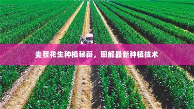 高人雅士 第2页