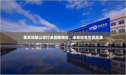 西安玛瑞公司行业翘楚地位,卓越排名引领风潮