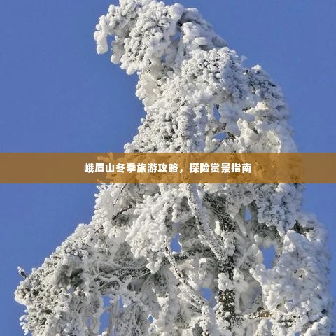 峨眉山冬季旅游攻略，探险赏景指南