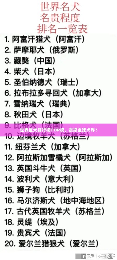 世界巨犬排行榜TOP榜,震撼全球犬界!