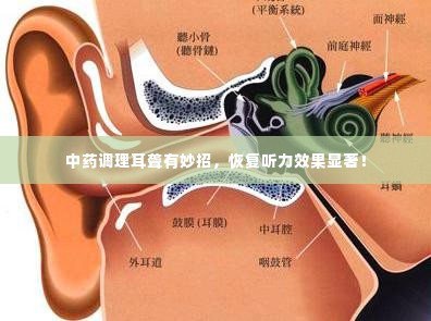 中药调理耳聋有妙招,恢复听力效果显著!