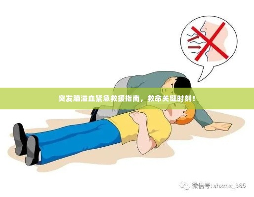 突发脑溢血紧急救援指南,救命关键时刻!