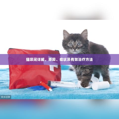 猫尿闭详解，原因、症状及有效治疗方法