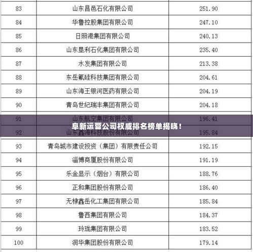 阜新运营公司权威排名榜单揭晓!
