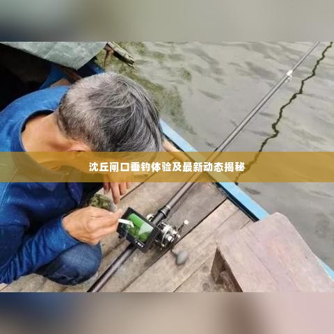 沈丘闸口垂钓体验及最新动态揭秘