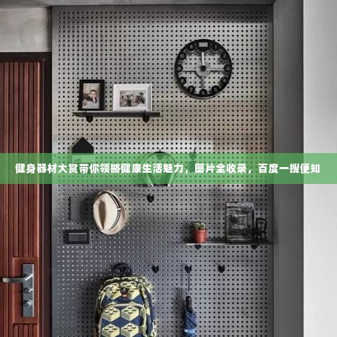 健身器材大赏带你领略健康生活魅力,图片全收录,百度一搜便知