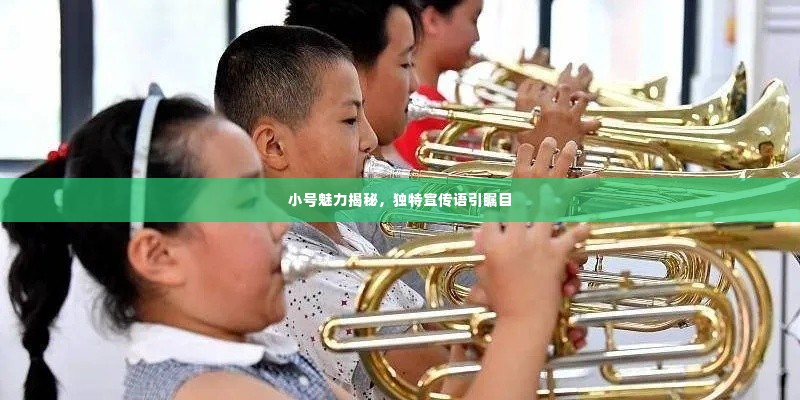 小号魅力揭秘,独特宣传语引瞩目
