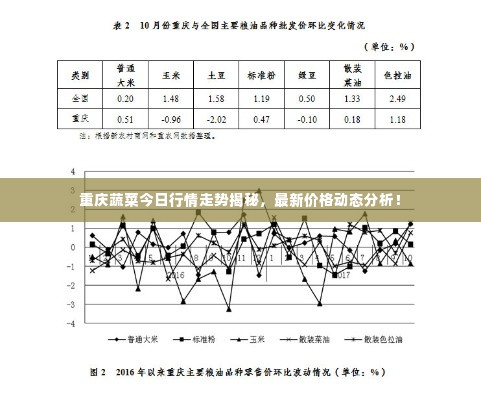 重庆蔬菜今日行情走势揭秘,最新价格动态分析!