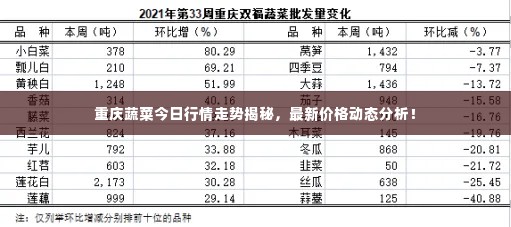 重庆蔬菜今日行情走势揭秘,最新价格动态分析!