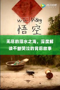 无尽的泪水之海,深度解读不断哭泣的背后故事