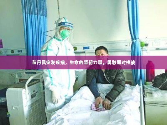 苗丹佩突发疾病,生命的坚韧力量,勇敢面对挑战