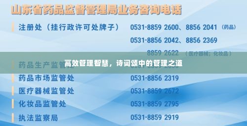 高效管理智慧,诗词颂中的管理之道