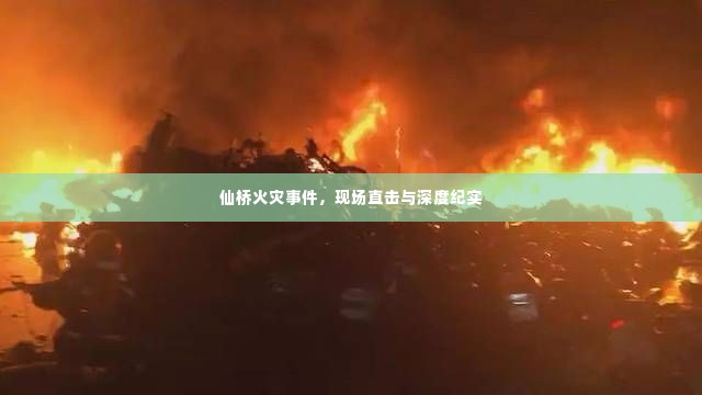 仙桥火灾事件,现场直击与深度纪实